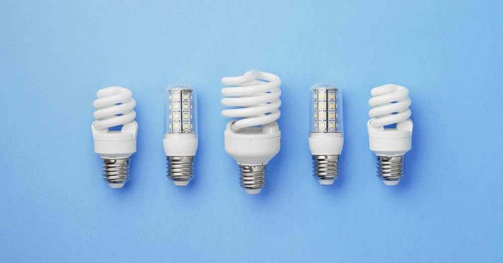 Support a healthier planet with these 8 environmentally friendly home tips